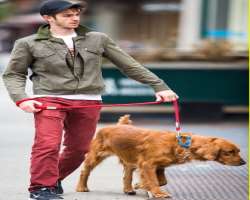 He loves dogs and had clicked a lot of pictures with his dog, Ren (golden retriever which he and his girlfriend adopted in 2012).
